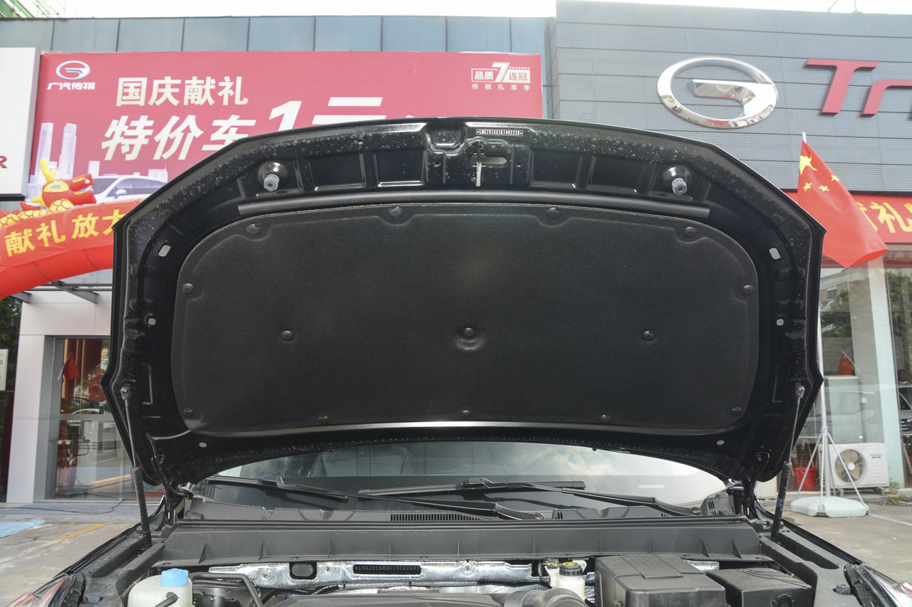 2019款传祺GS8 2.0T自动两驱豪华智联版390T