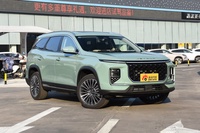 2023款捷途山海L9 1.5TD 2DHT Max 5座