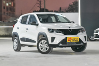 2020款启辰e30 精灵版