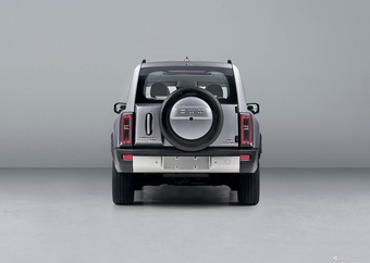 2026款哈弗猛龙PLUS 191km 基本型 官图