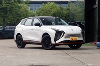 2023款风行雷霆 430 Pro