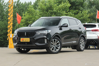 2019款WEY VV6 2.0T自动两驱超豪型国VI