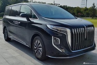 2024款红旗HQ9 PHEV 官图