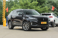 2019款WEY VV6 2.0T自动两驱超豪型国VI