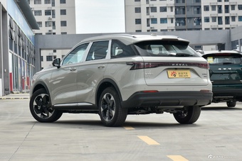 2025款枭龙MAX Hi4 110 Plus 智驾版