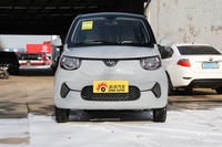 2021款小虎FEV FOR-Four乖乖虎