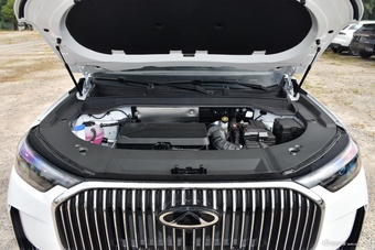 2026款瑞虎9 2.0T 自动两驱耀享版图片