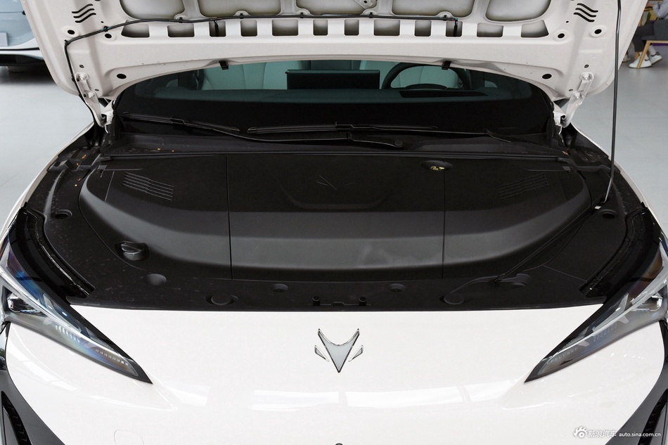 2025款极狐 阿尔法S5 560MAX 185kW