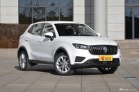  2020款宝沃BX3 1.4T自动两驱舒适型 