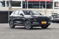 2024款捷途大圣1.6T DCT 王者PRO