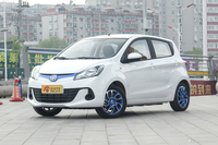  2019款奔奔EV360改款 标准型 