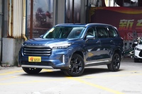 2021款揽月 1.6T自动290T星享版 