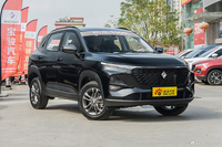 2020款宝骏RS-3 1.5L CVT 24小时在线豪华型