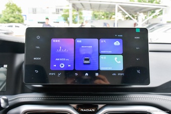 2025款雷达金刚 430km 两驱长厢 招财金刚