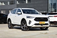2019款哈弗F7 1.5T 自动i型