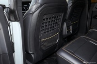 2024款福特烈马 2.3T 荒地