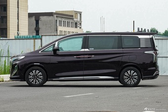 2024款红旗HQ9 PHEV 2.0T 四驱豪华版