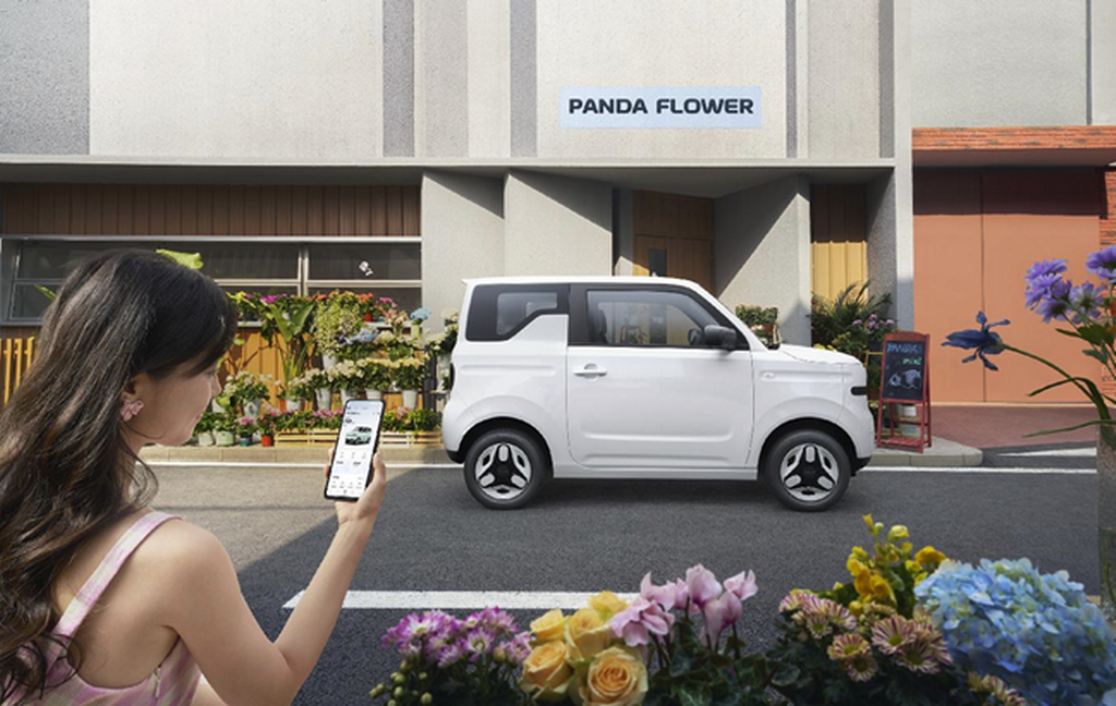 2025款熊猫mini 210km 元气熊 官图