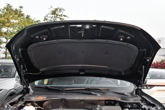 2025款领睿 EcoBoost 170 铂领型