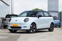 2023款江淮钇为3 405km Pro