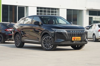 2026款星途瑶光 400T 寰球版