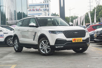 2017款众泰T700 2.0T自动尊贵型