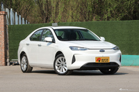 2020款江淮iEVA50豪华智能型