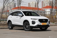 2020款海马8S 1.6TGDI 自动豪华型