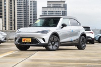 2024款smart精灵#1 Premium版