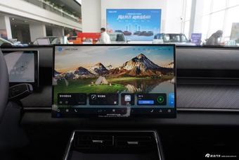 2025款风云T9 120 长续航版尊荣型 5座