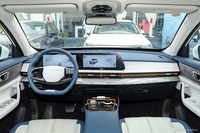 2024款星途追风C-DM 80km 优享版