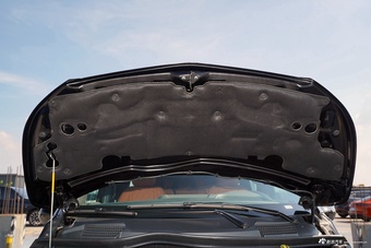 2025款普曼·巅峰2.0T星宇系列