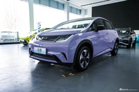 2024款海豚 荣耀版 420km 时尚版