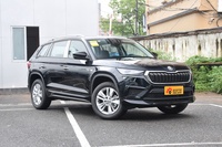 2024款柯迪亚克 TSI330 5座两驱实力版