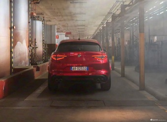 2026款Stelvio斯坦维 Quadrifoglio Collezione 官图