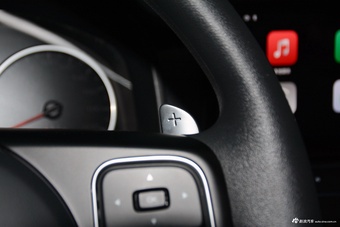 2026款长城炮 2.4T商用炮自动柴油四驱精英型长箱