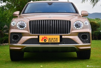 2023款添越 4.0T V8 长轴距雅度版