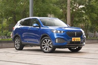 2020款 WEY VV6 2.0T 四驱智驭+ 