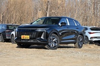 2024款瑶光C-DM 1.5T 超长续航Max