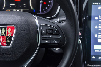 2019款荣威RX5 2.0T 30T自动Ali两驱智联网铂金版