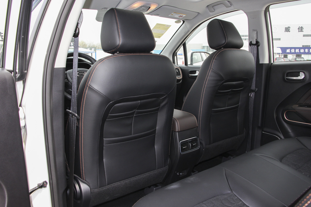 2019款祺智EV530锋行版