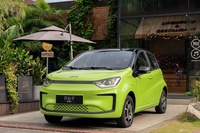 2024款钇为花仙子 挚爱版 301km Air 官图