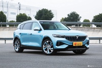 2021款岚图FREE 四驱纯电版专属豪华套装