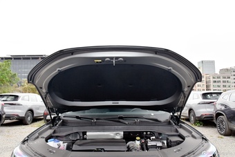 2025款瑞虎9 2.0T 双离合两驱豪享版 5座