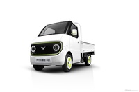 2023款大力牛魔王D01 官图