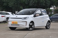 2023款花仙子 200km 薰衣草 30kW 4座