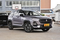 2020款宝骏RS-5 300T 1.5 CVT智能尊贵型