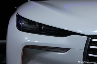 2014年第12届广州国际车展 图为：现代 intrado
