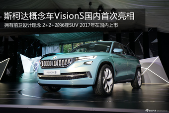 国内首秀 斯柯达Vision S概念车