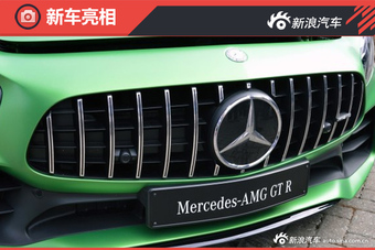 梅赛德斯-AMG GT R正式发布 性能猛兽